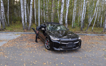 Картинка автомобили -авто+с+девушками kia stinger
