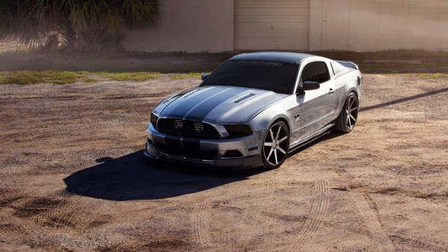 Обои картинки фото автомобили, mustang, ford