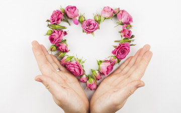 Картинка разное руки +ноги розы сердце