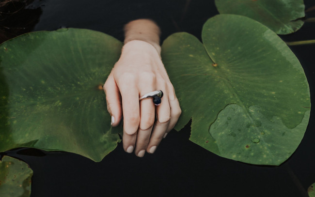 Обои картинки фото разное, руки,  ноги, вода, рука, листья, кольцо