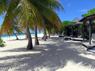 Картинка maldives природа тропики