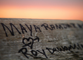 Картинка разное надписи +логотипы +знаки бревно надпись