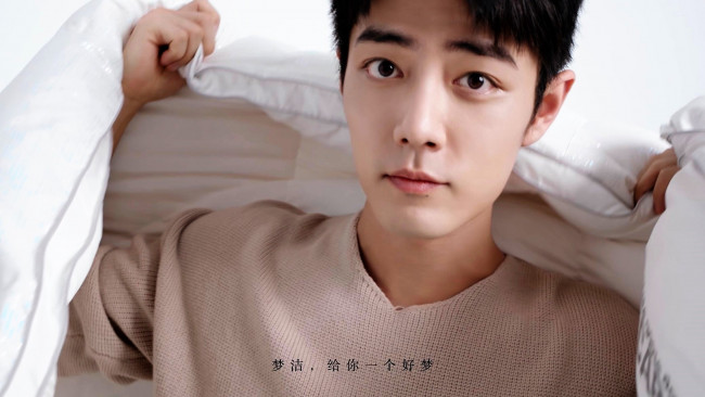 Обои картинки фото мужчины, xiao zhan, актер, лицо, свитер, постель