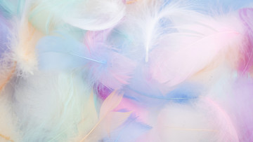 Картинка разное перья