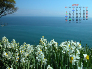 обоя календари, цветы