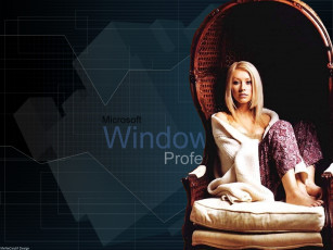Картинка компьютеры windows xp