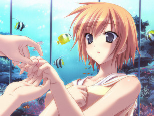 Картинка аниме *unknown другое