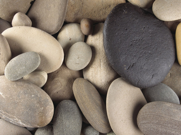 Обои картинки фото 