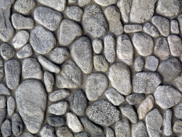 Обои картинки фото 