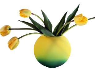 Картинка цветы тюльпаны