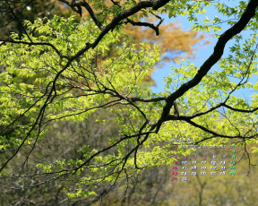 Картинка календари природа