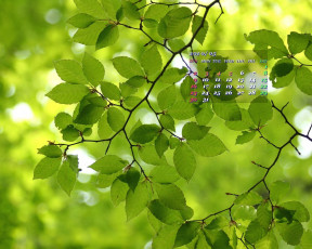 Картинка календари природа