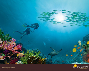 Картинка разное другое