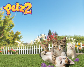 Картинка видео игры petz