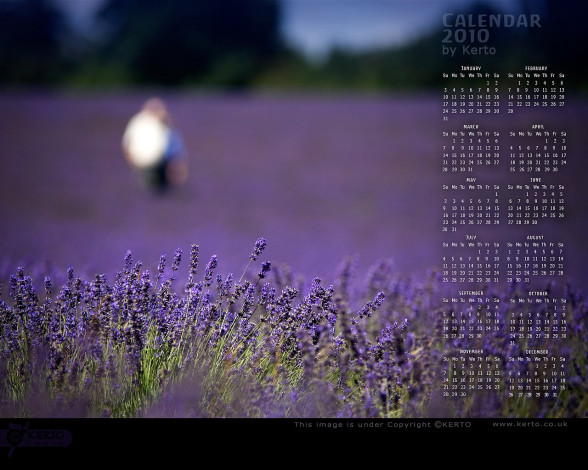 Обои картинки фото календари, цветы