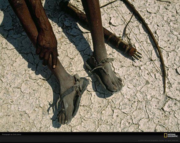 Обои картинки фото разное, другое