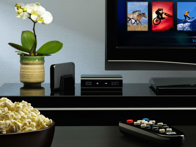 Обои картинки фото бренды, toshiba