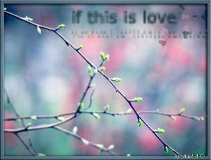 Картинка природа макро