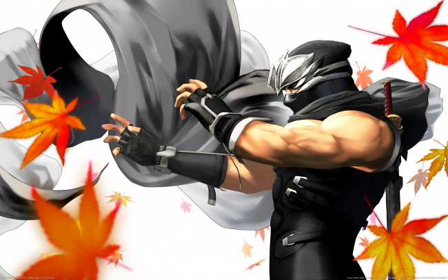 Обои картинки фото dead, or, alive, dimensions, видео, игры