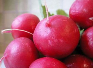 Картинка еда редис репа редька красный