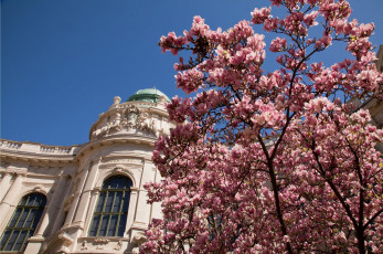 Картинка города здания дома грац штирия австрия