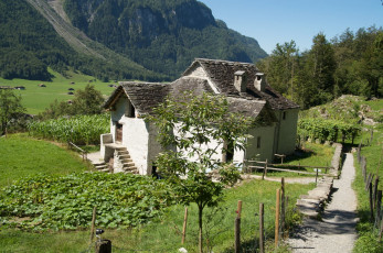 Картинка hofstetten bei brienz разное сооружения постройки швейцария