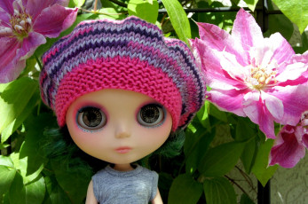 Картинка разное игрушки клематис кукла шапочка