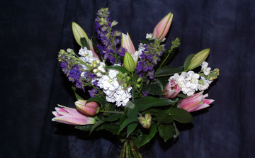 Картинка цветы букеты композиции тюльпаны лилии матиола левкой