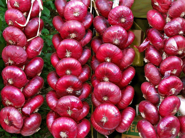 Обои картинки фото еда, лук, вязанки