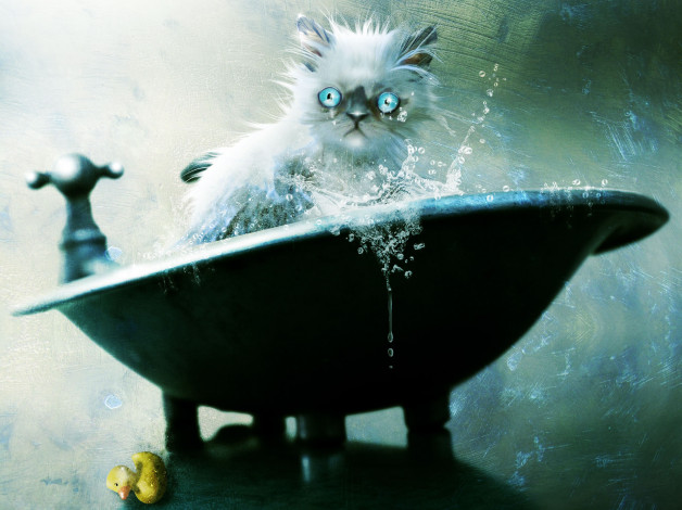 Обои картинки фото рисованные, животные, коты, ванна, кот