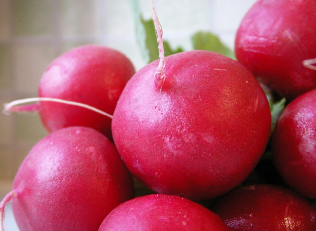 Обои картинки фото еда, редис, репа, редька, красный