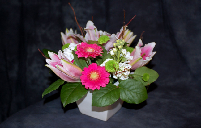 Обои картинки фото цветы, букеты, композиции, герберы, лилии, левкой