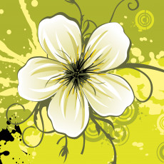 обоя векторная, графика, цветы, лепестки