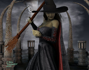 Картинка 3д графика elves эльфы девушка метла