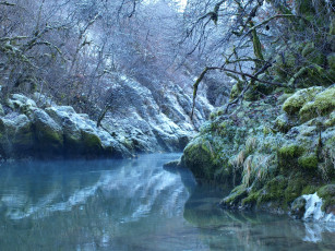 Картинка природа реки озера лес река