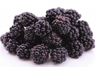 Картинка еда ежевика ягоды горсть витамины