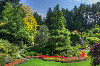 Картинка butchart gardens природа парк растения сад