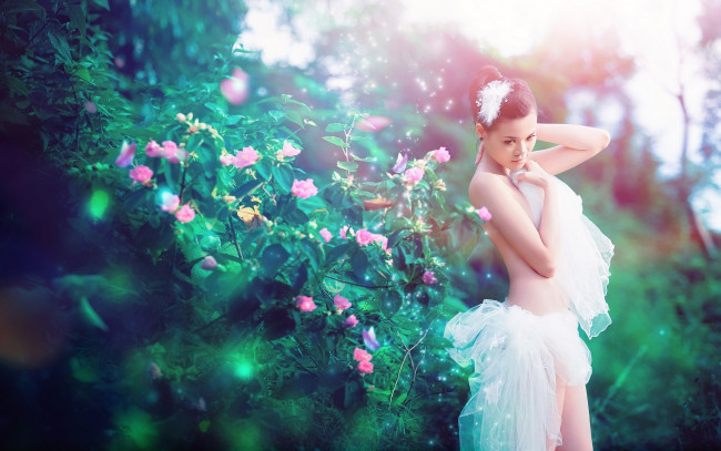 Обои картинки фото -Unsort Азиатки, девушки, unsort, азиатки, куст