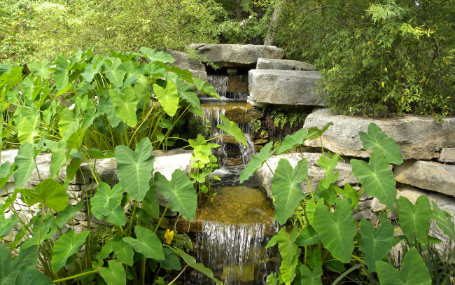 Обои картинки фото природа, парк, трава, деревья, ручей, камни