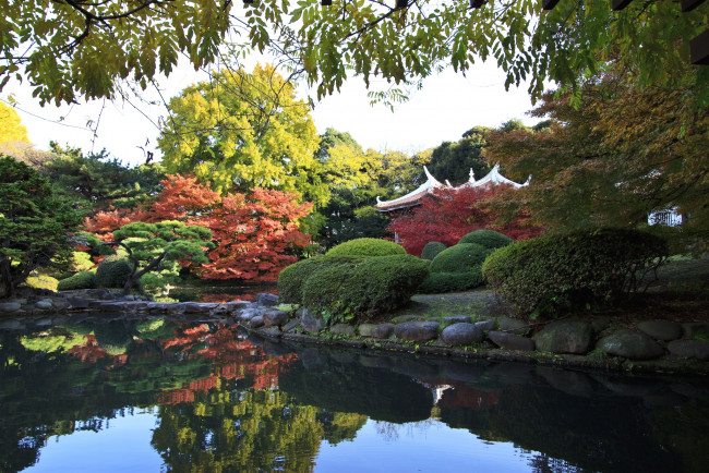 Обои картинки фото природа, парк, пагода, деревья, кусты, пруд