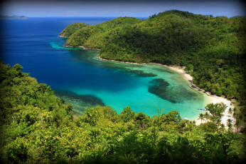 Картинка природа тропики лето