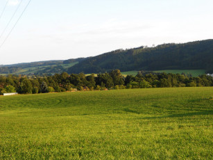 Картинка природа луга трава деревья