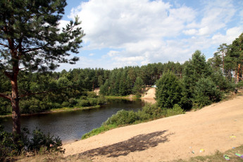 Картинка природа реки озера деревья песок берег