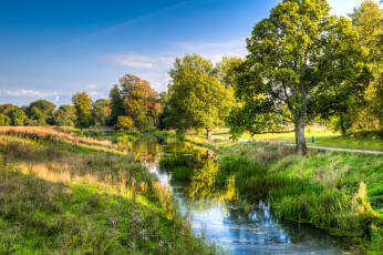 Картинка природа реки озера река лес