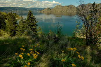 Картинка природа реки озера река лес горы