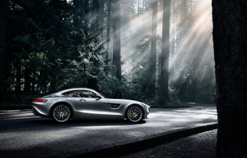 Картинка автомобили mercedes-benz дорога лучи туман лес утро silver 2016 gt s amg forest side dark sun color деревья