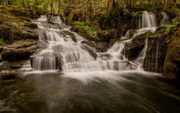 Картинка природа водопады водопад река лес