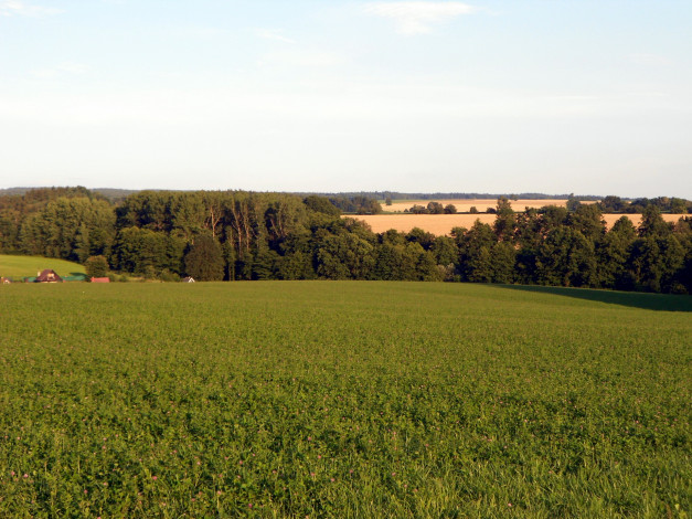 Обои картинки фото природа, луга, трава, деревья