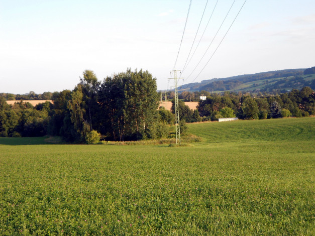 Обои картинки фото природа, луга, трава, деревья