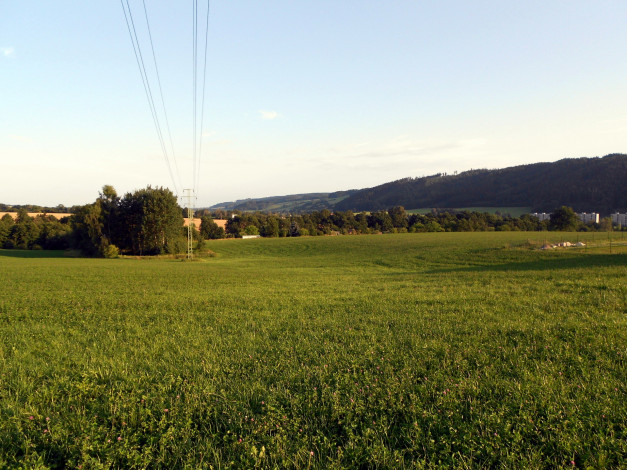 Обои картинки фото природа, луга, трава, деревья